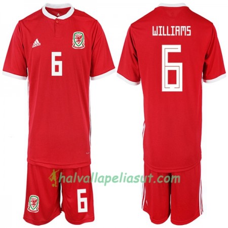 Jalkapallo Pelipaidat Wales WILLIAMS 6 Lasten Kotipaita 2018-2019 Lyhythihainen